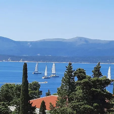 Timic *